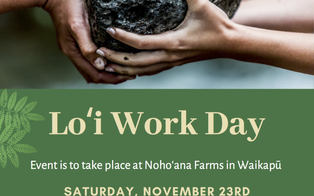 Nohoʻana Loʻi Service Day
