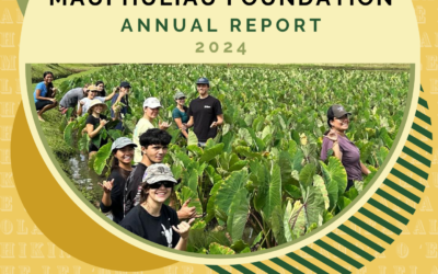 Check out our 2024 Annual Report