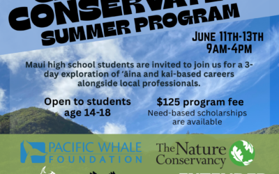 Summer Programs