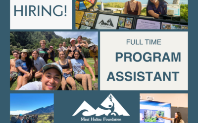 We are hiring!